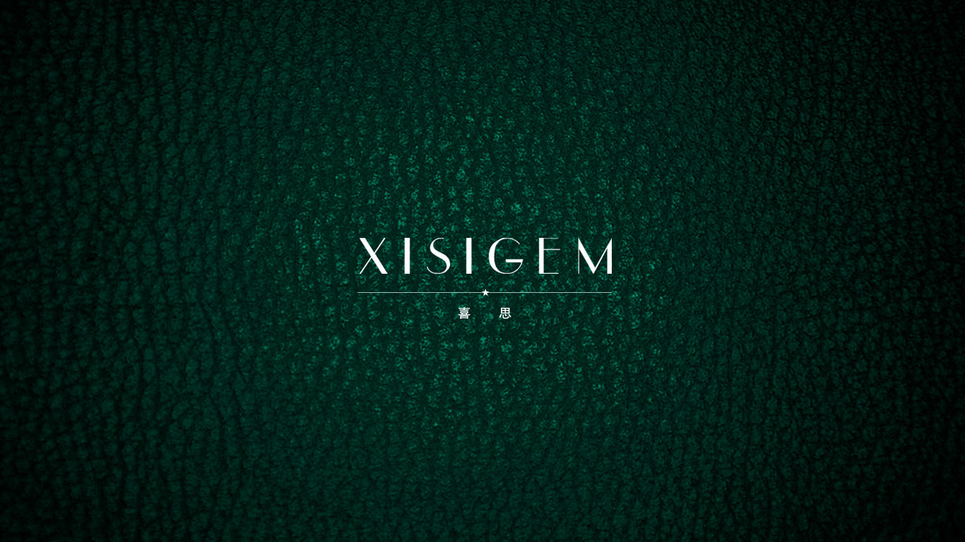 喜思原網(wǎng)站首頁設計——重慶網(wǎng)站建設公司（天蠶公司）